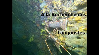 A la Recherche des Langoustes [upl. by Robyn97]