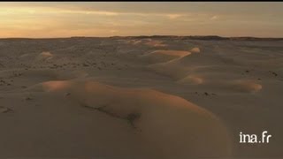 Mauritanie  quatre dromadaires dans le désert de Tichit [upl. by Ahseiyk]