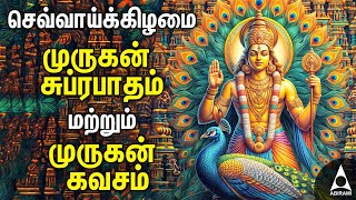 Tuesday Murugan Tamil Devotional Songs  Palani Thiruchendur Tiruthani Pazhamudircholai [upl. by Anedal]