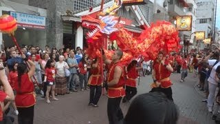 Ano Novo Chinês 2013 Dança do Dragão Dragon Dance [upl. by Ayyn865]