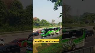 basuri maudi jb5quotvideoshort shorts busmania [upl. by Chu]