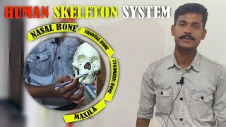 Human Skeleton System  Skull Bones [upl. by Humble82]