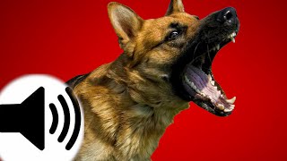 Dogs Barking Sound Effect [upl. by Winwaloe845]