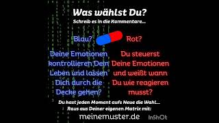 Was wählst Du 🔵🔴 Schreib es in die Kommentare Kontrollierst Du oder Deine Emotionen Dein Leben [upl. by Alyworth]