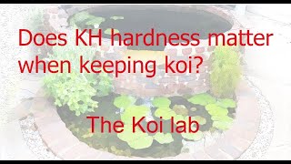 Does KH hardness matter when keeping koi [upl. by Nelrah]