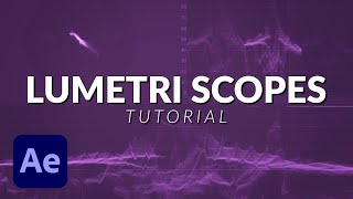 How To Work With Lumetri Scopes in After Effects Tutorial [upl. by Nosila548]