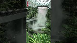 Jewel Changi Singapore [upl. by Nerot]