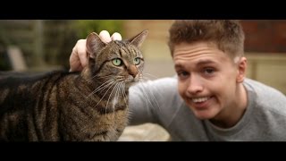 Joe Weller  Kitty Music Video [upl. by Harrell16]