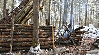 Solo Bushcraft Camp 2 Nights in the Snow  Natural Shelter Minimal Gear [upl. by Yaluz]