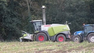 FD CUMA MORBIHAN  Ensilage maïs octobre 2015 CUMA Printanière [upl. by Atiruam]