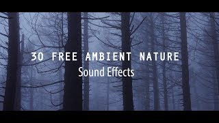 30 FREE Ambient Nature Sounds Effect  Cinematic Sounds Effects [upl. by Kisung]