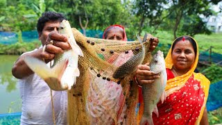 গরমের দিনে জিরে আলু দিয়ে পুকুরের টাটকা মাছের পাতলা ঝোল রান্না  Fishing amp Cooking [upl. by Bryna]