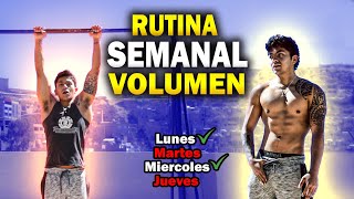 RUTINA SEMANAL POR GRUPOS MUSCULARES  Rutina de Volumen [upl. by Eelanaj232]