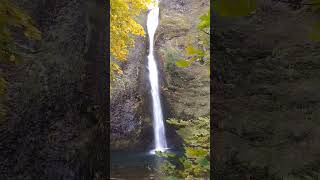 Horsetail FallsOregon oregon waterfall autumn fall hike pnw scenicdrive [upl. by Shipley45]