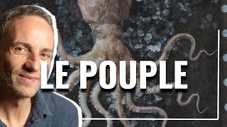 Francois Bégaudeau est un poulpe 🦑  Raphaël Enthoven [upl. by Limoli]