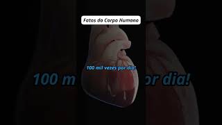 💓Fatos Incríveis Sobre o Corpo Humano O Coração 💓 [upl. by Ayota400]