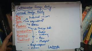 CORNEAL FORIGN BODY complete explanation [upl. by Jollenta249]