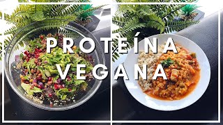 3 recetas VEGANAS altas en PROTEÍNA 🥦 [upl. by Jdavie908]