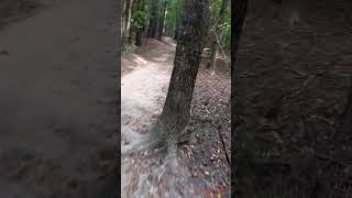 Testing out my new Hoka Speedgoat 5’s run trailrunning [upl. by Anhcar]