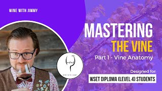 WSET Level 4 WSET Diploma Wine  Mastering Wine Production  The Vine Part 1 Vine Anatomy [upl. by Lamp864]