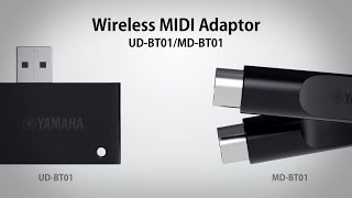 Wireless MIDI Adaptor MDBT01 and UDBT01 [upl. by Kalagher]