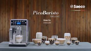 Saeco PicoBaristo Deluxe SM5573  How to Descale [upl. by Alyn]