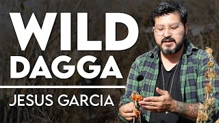 Intro to Wild Dagga  Leonotis leonurus with Jesus Garcia [upl. by Filia]