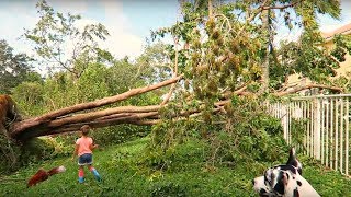 DZIEŃ PO HURAGANIE IRMA STRATY BRAK PLAŻY WYRWANE DRZEWA [upl. by Meehan562]