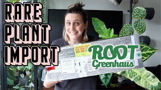 More Plants 🙃🪴 Root Greenhaus Import Haul [upl. by Bissell278]