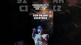 Pensando en ti  Canserbero Letra pensandoenti canserbero rap letras [upl. by Zohara]