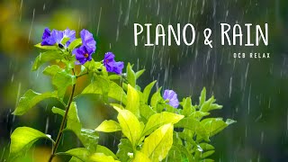 Rain Sounds amp Relaxing Music 247  Piano Music Sleep Study Yoga Stress Relief Meditation [upl. by Levitus]