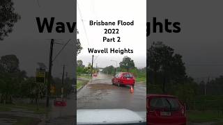 Flood p2 shortsfeed floods australia brisbane [upl. by Adnalor]