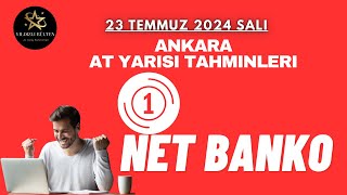 23 Temmuz 2024 Salı Ankara At Yarışı Tahminleri [upl. by Winston]