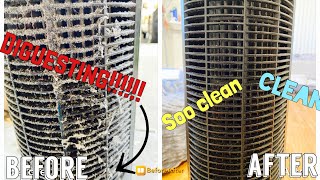 How to Quickly clean your tower fan without unscrewing the part  easy [upl. by Sharai]