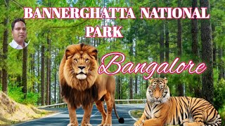 Bannerghatta National Park Safari 2024  Bannerghatta Zoo  Bannerghatta Safari  Butterfly Park [upl. by Ellemrac]