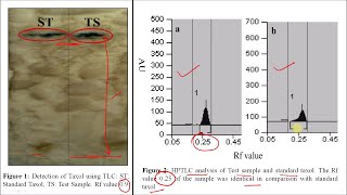 Taxol Part 02  Industrial Production Isolation Method Estimation and Utilization Part 14 [upl. by Jezabel]