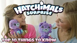 Hatchimals Surprise  Top 10 Things to Know [upl. by Marriott]