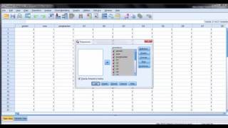 Tutorial Distribusi presentase SPSS [upl. by Ahsina351]