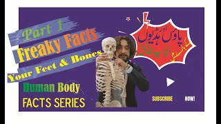 Freaky Facts about Human Body  Bright Side Facts  Part 1 Feet Bones  Creative Quality humanbody [upl. by Gati]