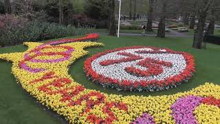 Flußkreuzfahrt Besuch des Keukenhofs Malerisches Nordholland MS Johann Strauss [upl. by Yeleen]