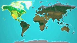 How Many Continents are There in the World  Learn amp Grow Kids Geography Lesson  LeapFrog [upl. by Collimore]