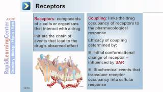 Rapid Learning Pharmacology  What is Pharmacodynamics [upl. by Eissed299]