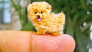 20 Smallest Dog Breeds In The World [upl. by Leafar]