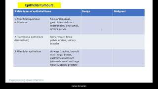 Neoplasia Nomenclature crash course [upl. by Idnaj620]