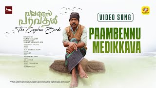 Paambennu Medikkava  Valasai Paravakal  Official Video Song  Sunil Maloor  Resmi Satheesh [upl. by Iredale720]