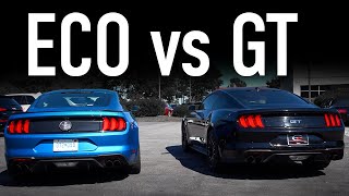 Ford Mustang Ecoboost vs GTTwice The Cylinders Twice As Good [upl. by Waine]