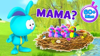 Rouzin Svet crtani na Srpskom  🐰 ДА ЛИ СТЕ МОЈА МАМА 🐣🐤  1 сата цртаних [upl. by Dryden]