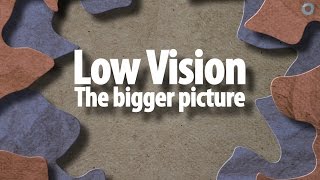 Low vision the bigger picture [upl. by Drazze274]