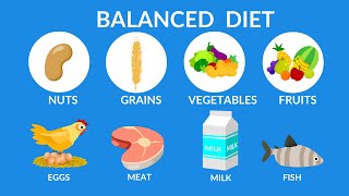 Balanced Diet  Best food for health [upl. by Anastatius]