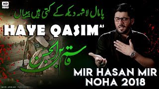 Nohay 2018  Haye Qasim ع  Mir Hasan Mir New Noha 201819  Noha Mola Qasim  Nohay 2019 [upl. by Maryann]